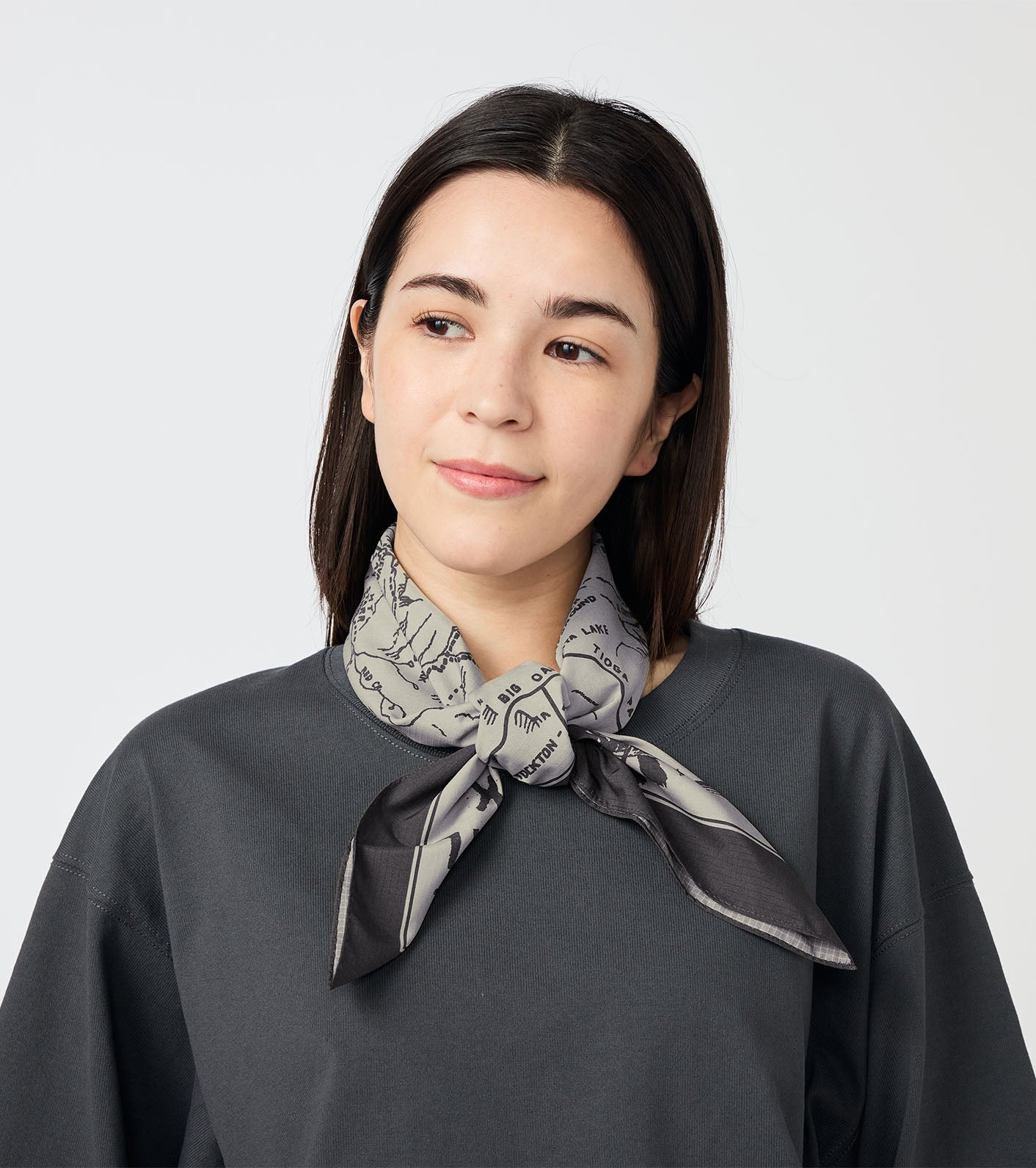 THE NORTH FACE Purple Label 25AW Mountain Field Scarf