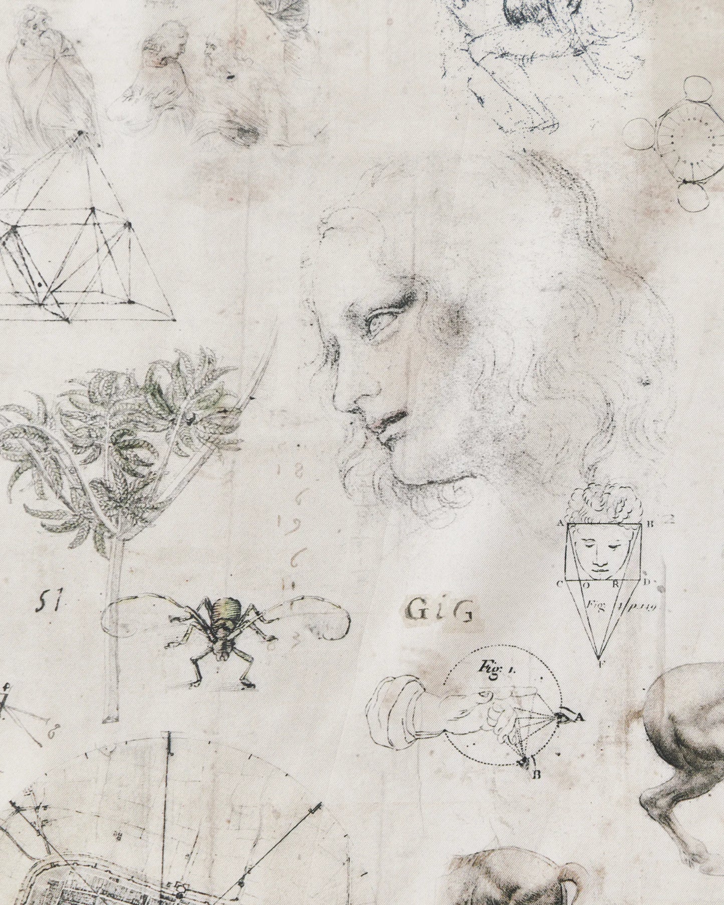 NICENESS 25AW LEO / Da Vinci Printed Silk Scarf
