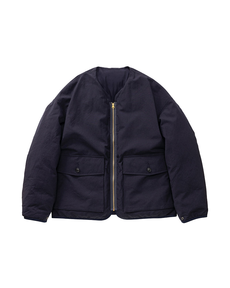 visvim 25AW IRIS DOWN JKT