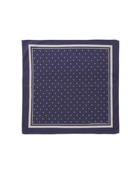 visvim 26SS SPOT BANDANA (C/SI CHAMBRAY) DMGD