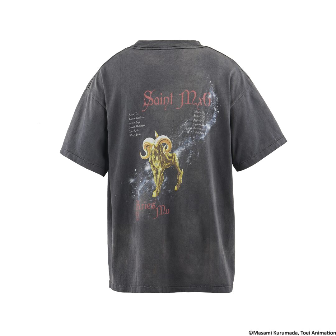 SAINT Mxxxxxx x 聖闘士星矢 / SS_SS TEE_MU