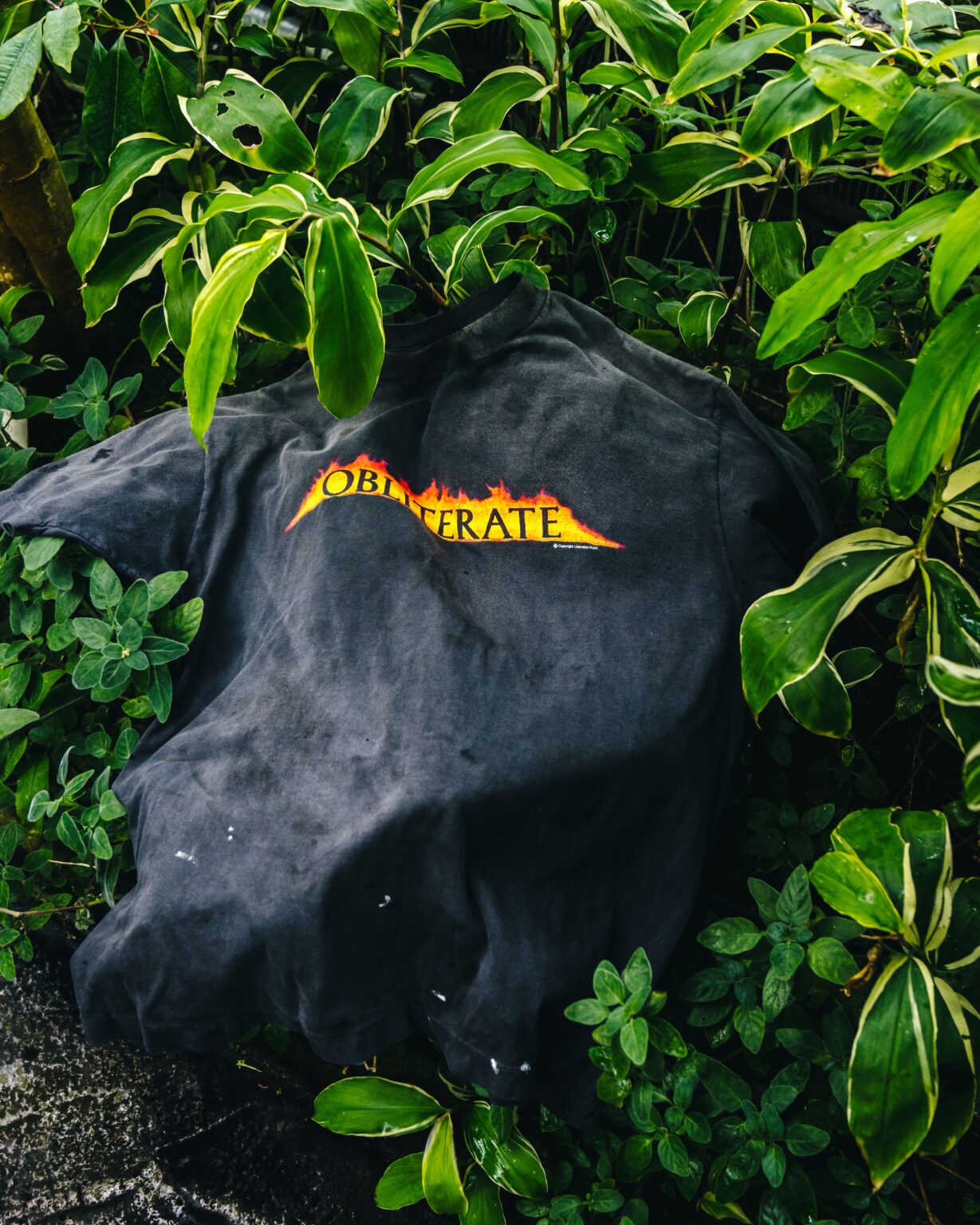 SAINT Mxxxxxx 25SS SS TEE_OBLITERATE