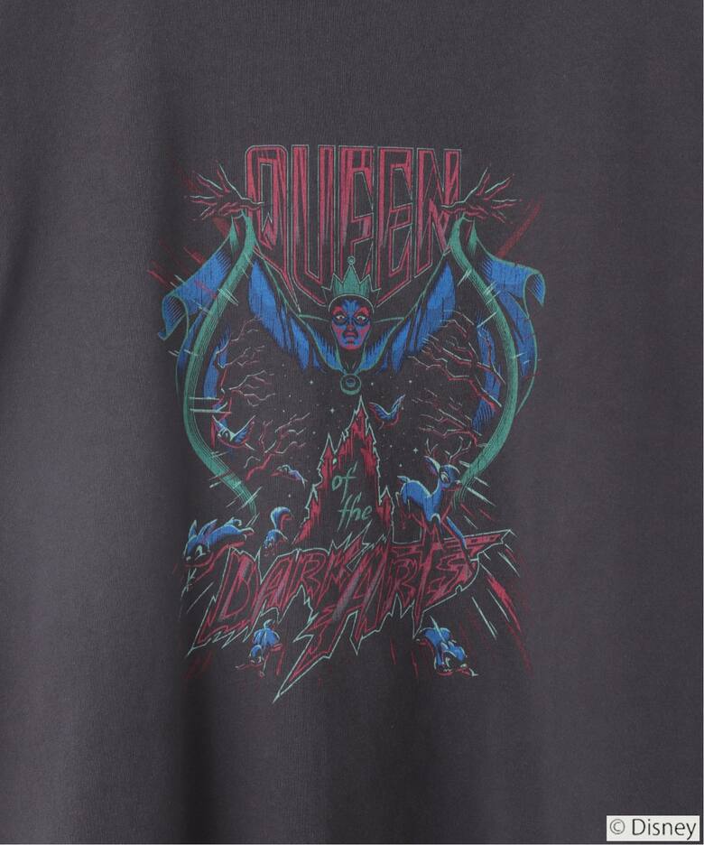 CALIFORNIA RANCH HOUSE / DISNEY 別注 / Vintage T-Shirt