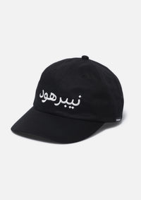 NEIGHBORHOOD 25SS DAD CAP-2