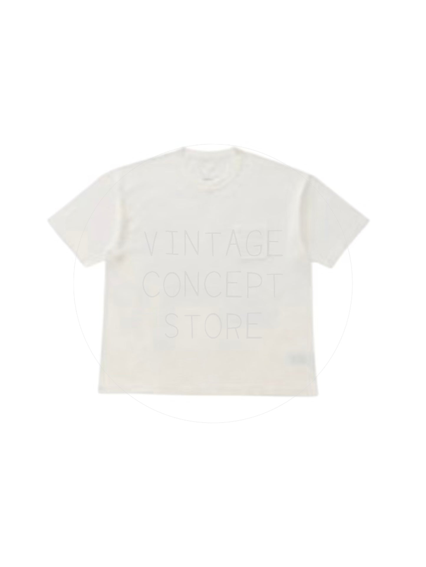 visvim 25SS JUMBO TEE S/S CRASH