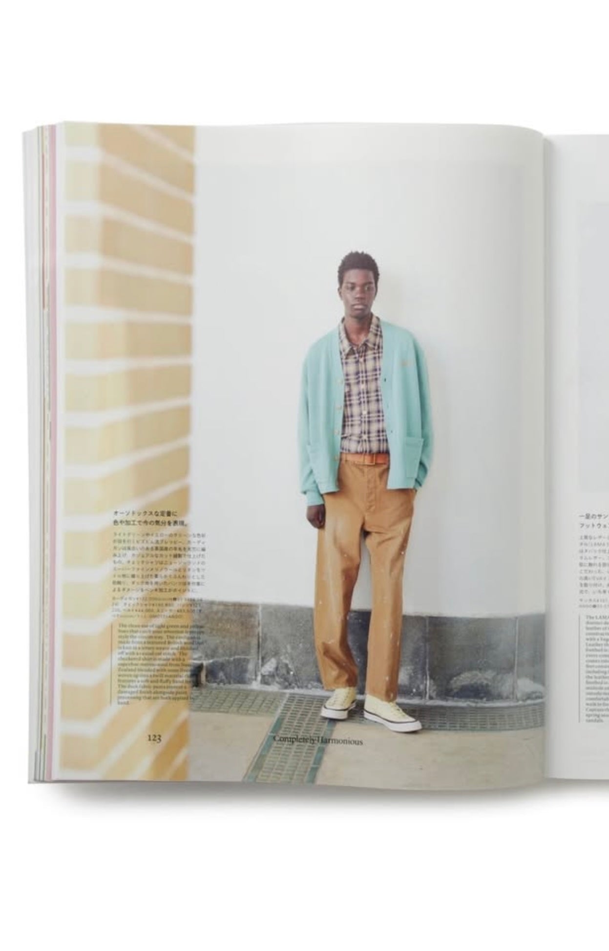 visvim 26SS TILLER PANTS DMGD