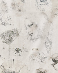 NICENESS 25AW LEO / Da Vinci Printed Silk Scarf