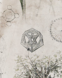 NICENESS 25AW LEO / Da Vinci Printed Silk Scarf