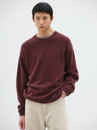 AURALEE 26AW BABY CASHMERE KNIT P/O