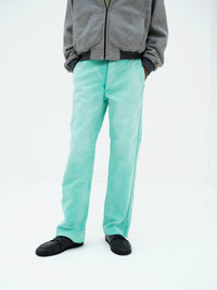 AURALEE 26AW GARMENT-DYED ORGANIC COTTON HEAVY MOLESKIN PANTS
