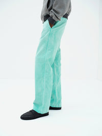 AURALEE 26AW GARMENT-DYED ORGANIC COTTON HEAVY MOLESKIN PANTS
