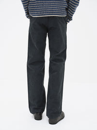 AURALEE 26AW GARMENT-DYED FINX CHINO PANTS