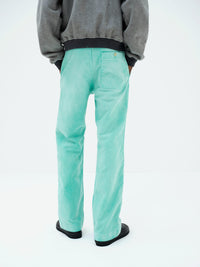 AURALEE 26AW GARMENT-DYED ORGANIC COTTON HEAVY MOLESKIN PANTS