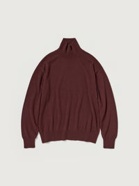 AURALEE 26AW BABY CASHMERE KNIT TURTLE